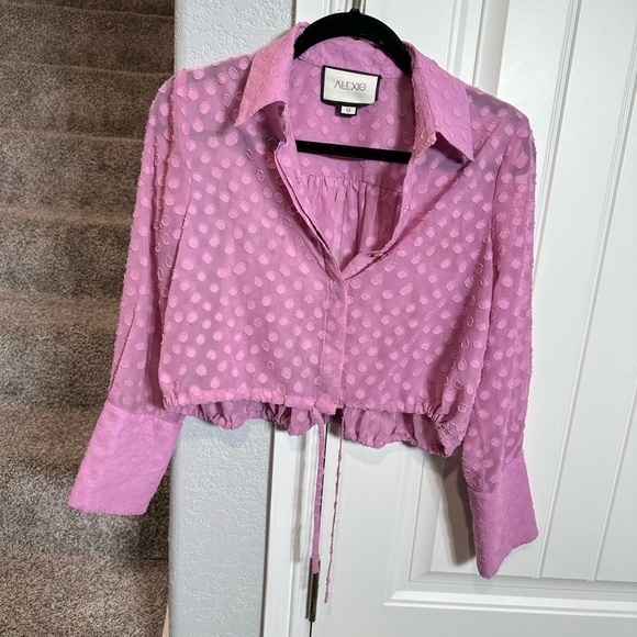 Alexis Kaja Cropped Blouse Top PINK sheer - Picture 6 of 12